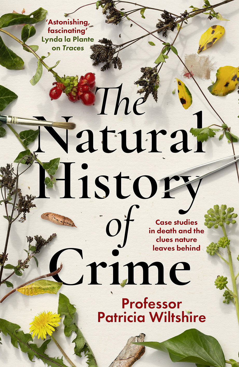 Book cover: The Natural History of Crime idea 1